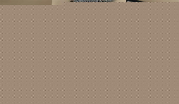 成都浪琴官方保养地址：2026年8月最新官方售后保养服务网点信息公示与维修服